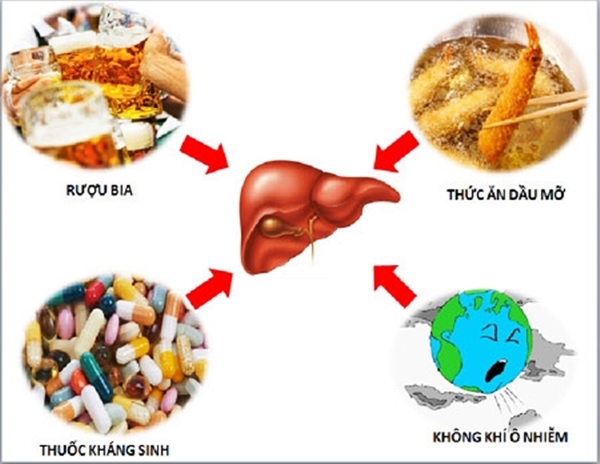 cách thanh nhiệt giải độc gan