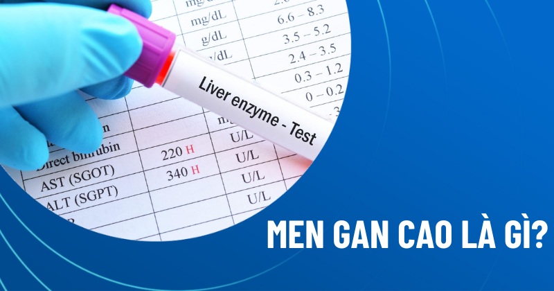 Men gan cao là gì?
